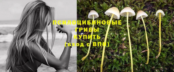 сатива Костерёво
